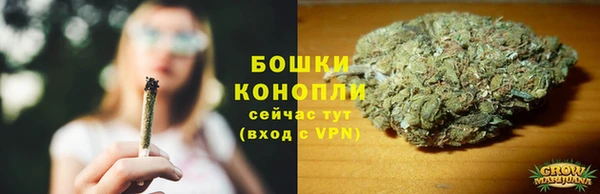 стаф Каменск-Шахтинский