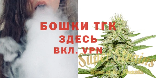 амф Каменногорск