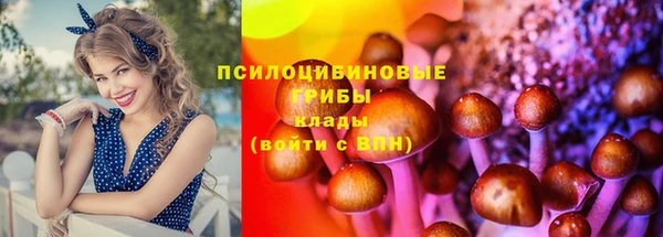 экстази Каменка